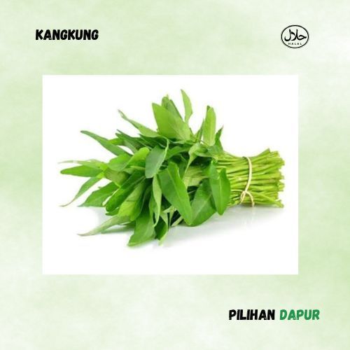 

KANGKUNG - [1 IKAT] FRESH