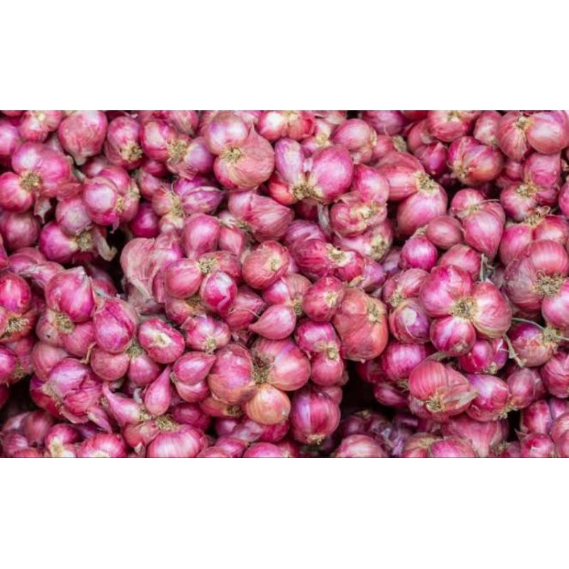 

Bawang merah medium