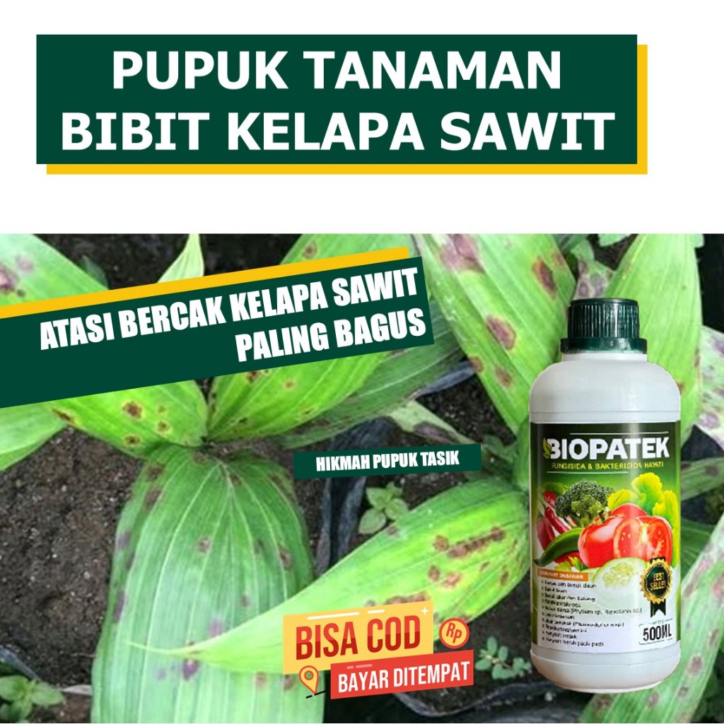 PUPUK TANAMAN BIBIT SAWIT OBAT CAIR FUNGISIDA BIBIT SAWIT ATASI BERCAK DAUN PALING BAGUS BIOPATEK IS