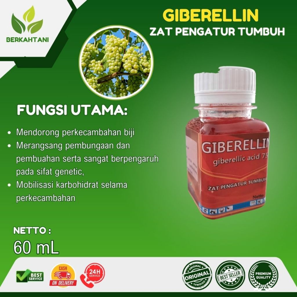 Neo Giberelin Giberellin GA3 Hormon Pertumbuhan Dan Pengisian Buah