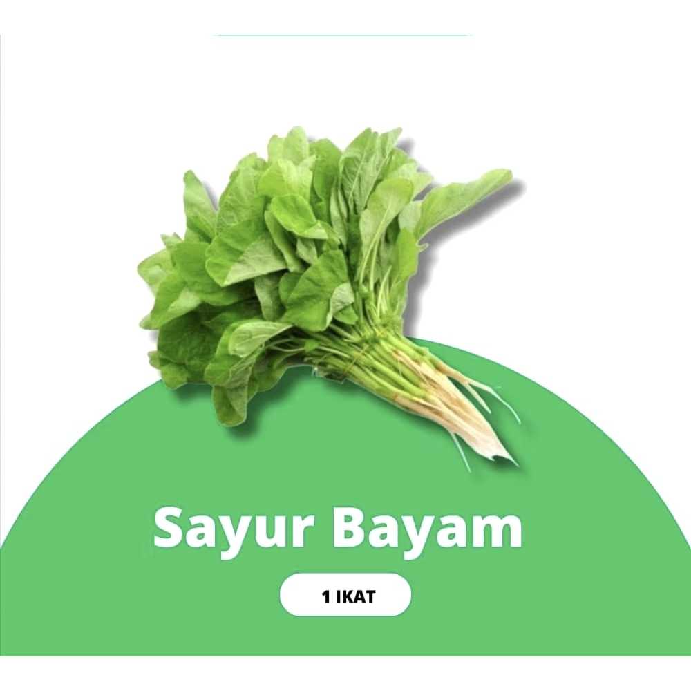 

Sayur bayam 1 ikat