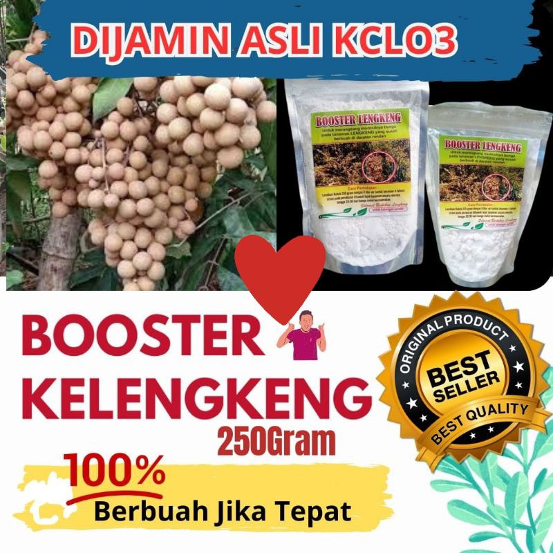 JAMIN ASLI.. Booster kelengkeng kclo3 murni