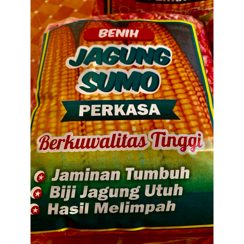 1 KG BENIH JAGUNG SUMO PERKASA F2 SIAP TANAM