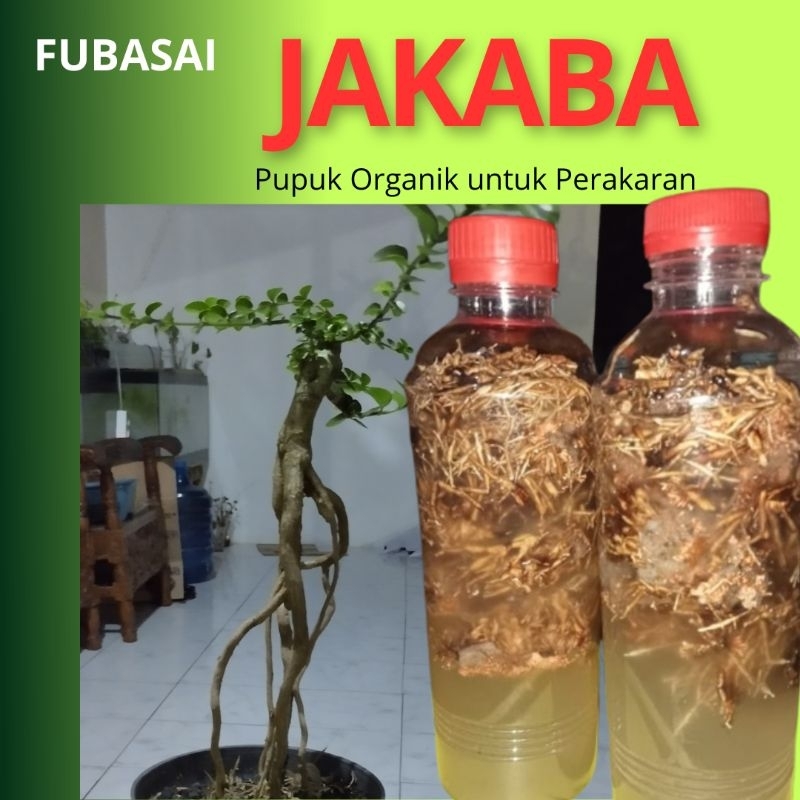 Pupuk Organik untuk Perakaran Bonsai JAKABA