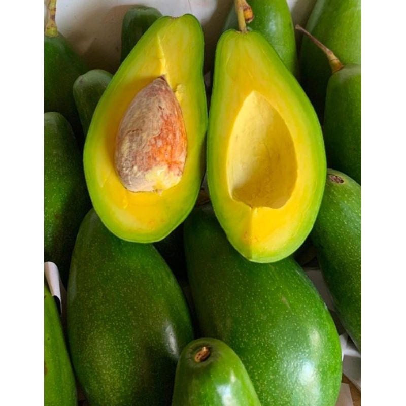 

ALPUKAT MENTEGA PREMIUM JUMBO 1KG ISI 1-2 FULL TUA PILIHAN BERGARANSI