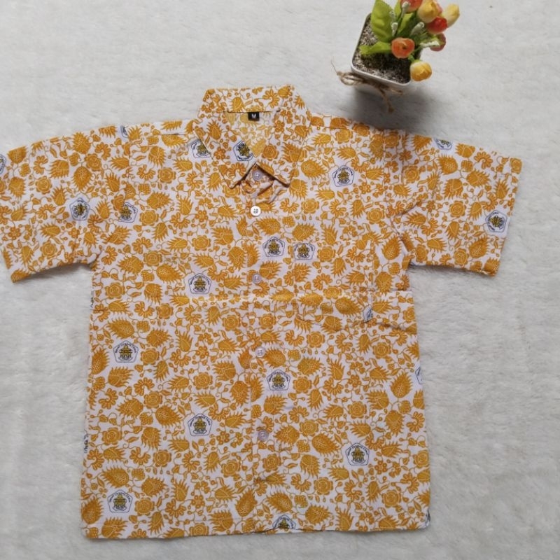 Batik Tk dan Paud  motif Nazwa kuning Ready Stok