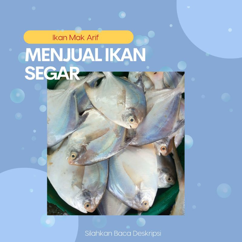 

Ikan Bawal Segar