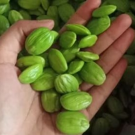 

petai/pete kupas bebas ulat segar 250g