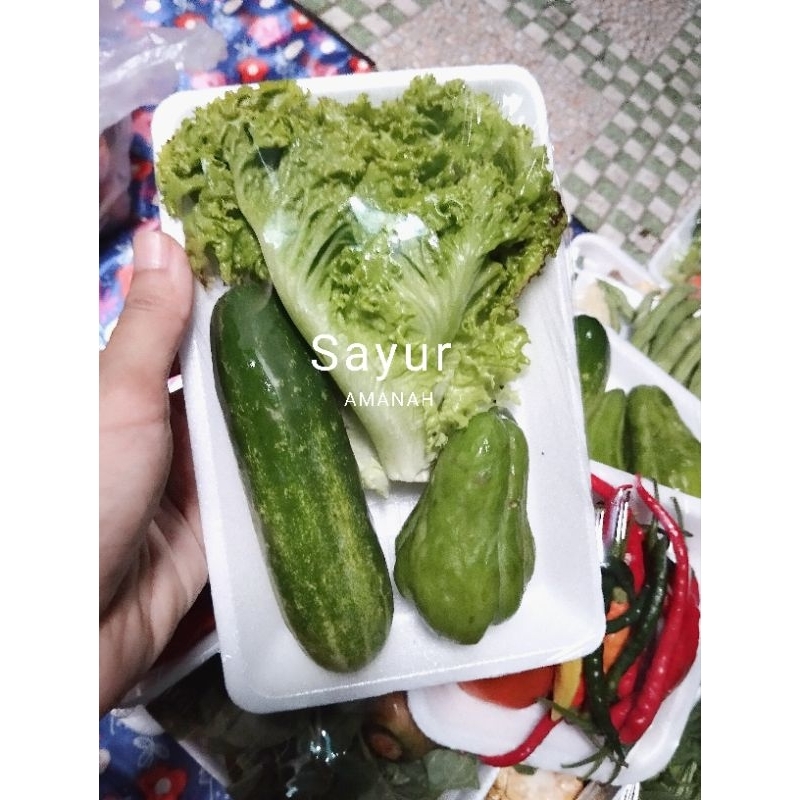 

Paket Sayur lalapan