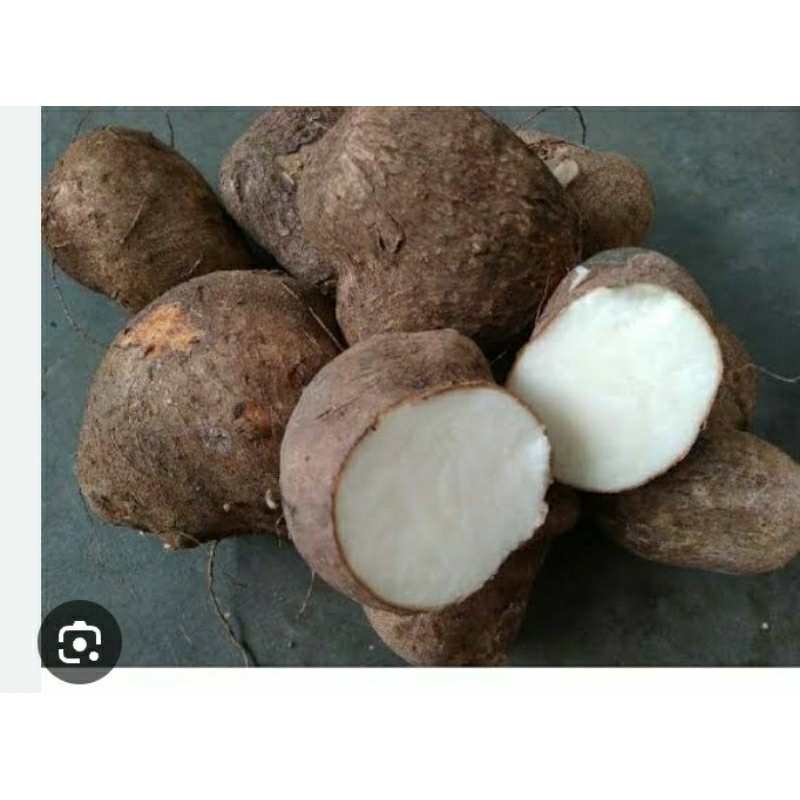 

umbi uwi putih organik utk kolestrol diabetes murah