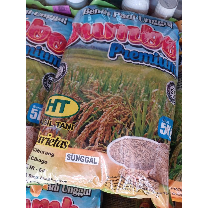 BENIH PADI Ciherang , mekongga , cakrabuana , sintanur  JUMBO 5KG
