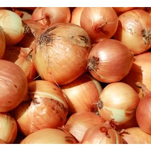 

(per 500 gram) Bawang Bombay Bombai Jumbo Besar Onion Kiloan / Grosiran atau eceran boleh