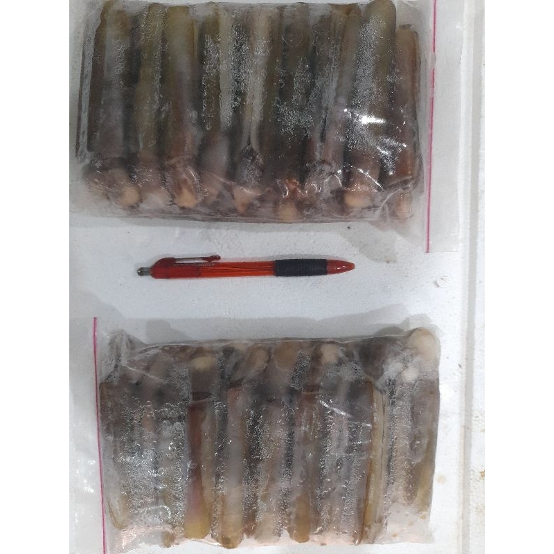 

kerang bambu fresh/frozen