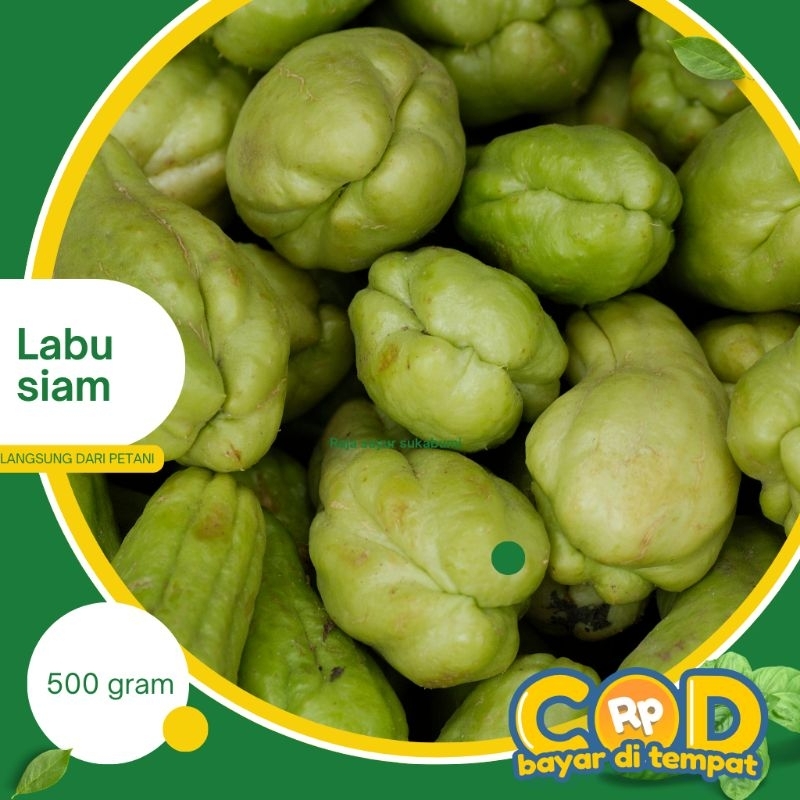 

Labu siam besar 500gr