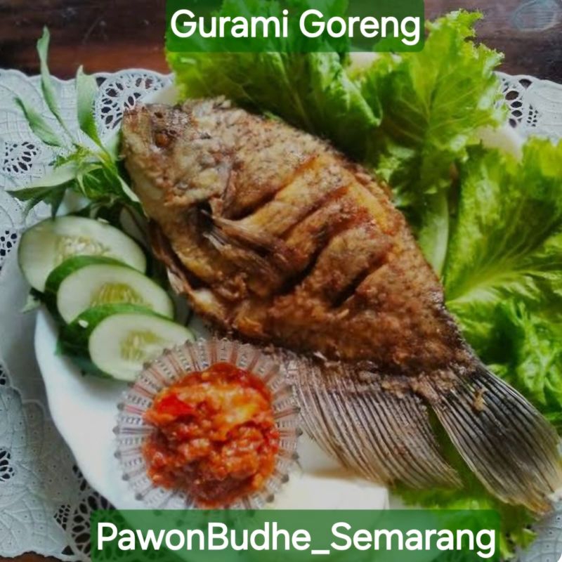 

Gurami goreng