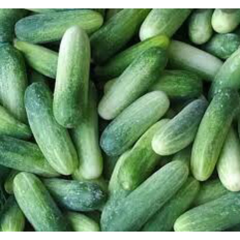 

Sayur Ketimun Mentimun Timun 1kg