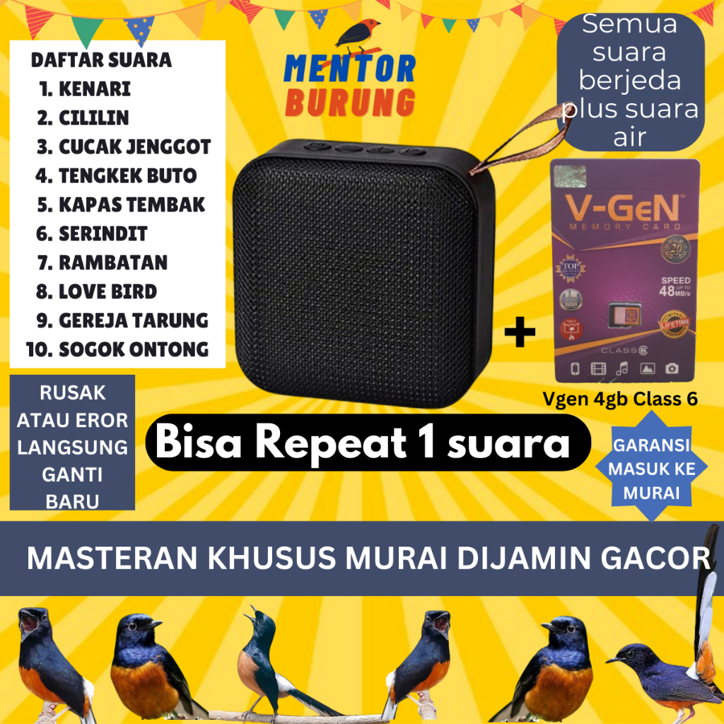 CHAN Masteran Mp3 Khusus Burung Murai Batu Air Betina Hutan Trotolan Burung Kicau Suara Jernih