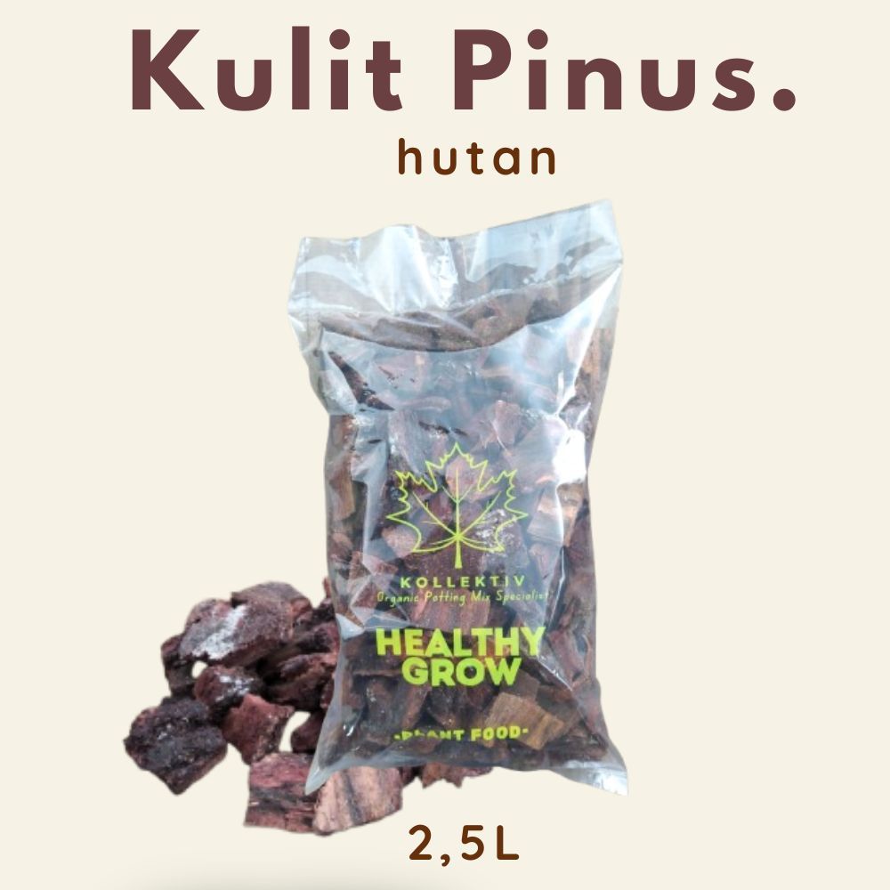 Kulit Pinus Media Tanam Anggrek/Aroid