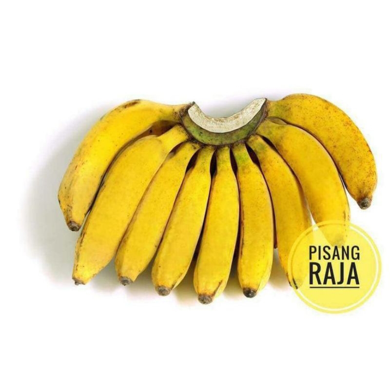 

pisang raja bulu super manis 1 sisir