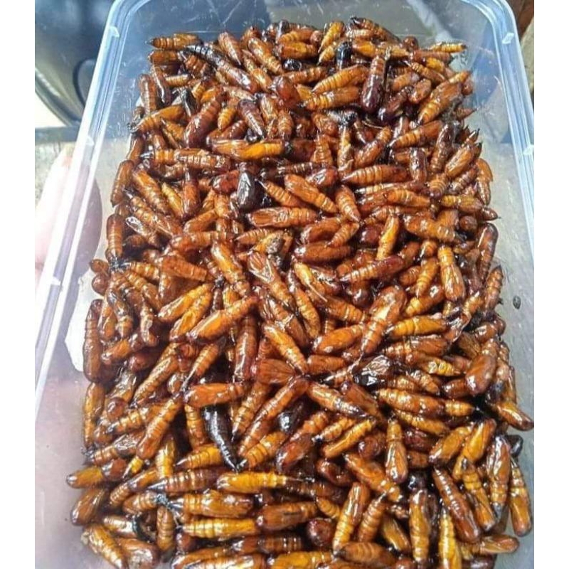 

Entung jati goreng,Sangat lezat sedaap .di temani nasi dan sambal.40gr