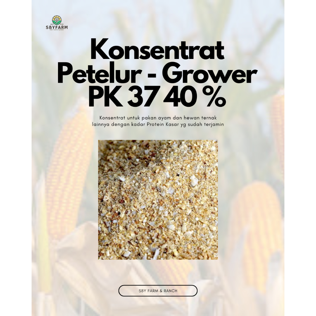 Konsentrat Petelur Grower Protein Kasar PK 37% 40% 250 500 Gram 1 5 10 25 50 Kilogram - SBY Farm - 1