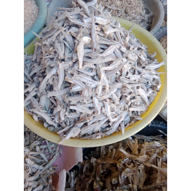 

teri jengki 1000gram 65000