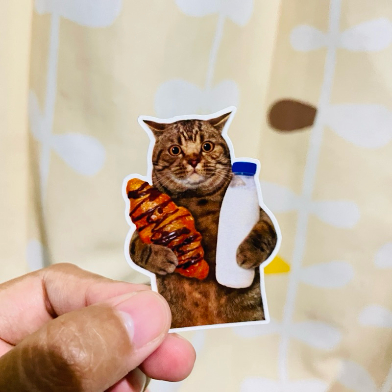 

Stiker KUCING | Stiker Lucu | Stiker Meme | Stiker Helm | Stiker HP