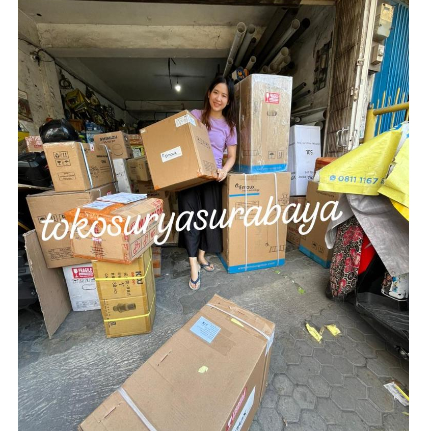 tokosuryasurabaya - Filter Kolam Renang Emaux P350 P400 P450 P500 / agen resmi emaux kolam renang pr
