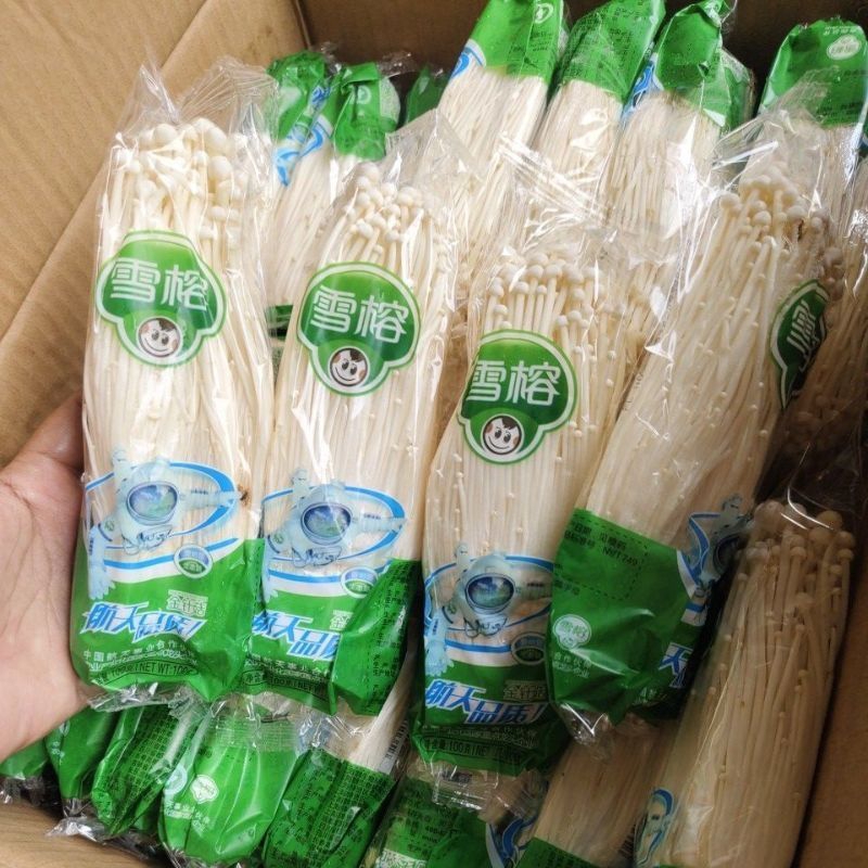 

3 pcs jamur Enoki murah