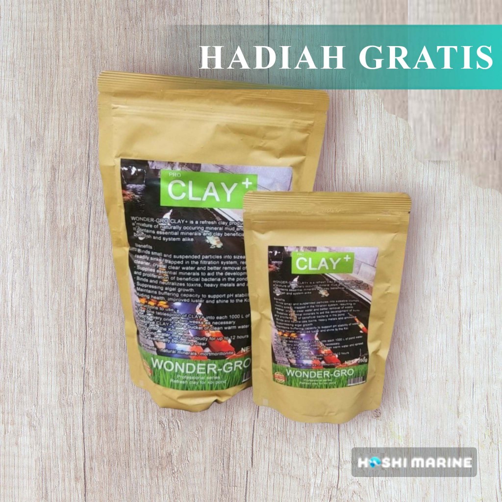 Clay Koi Premium Penjernih Kolam Plus Bakteri Starter