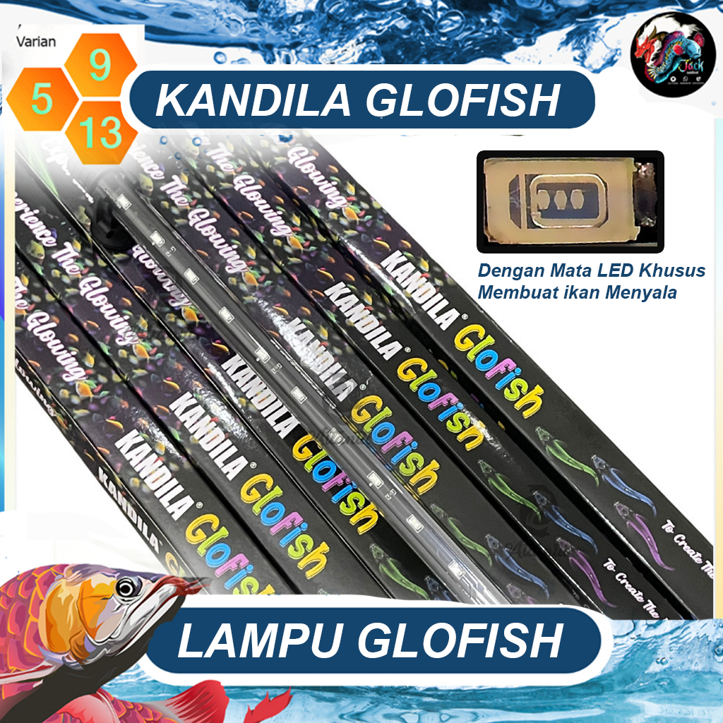 LAMPU GLOFISH  3 Mode Lampu Ikan Glowfish 200.300.400.500.600.800.100 Lampu Ikan Warna Warni