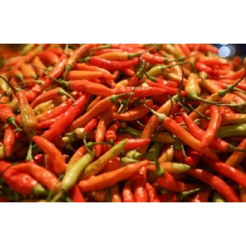 

Cabe Rawit Merah 1kg