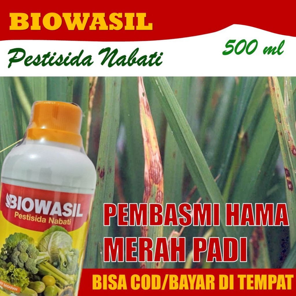BIOWASIL Pestisida Organik Obat Hama Merah Padi - 500 ML Insektisida Organik Pestisida Obat Hama Mer