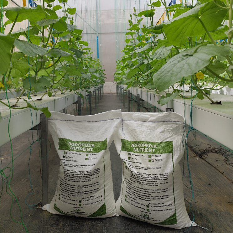 Nutrisi AB Mix Hidroponik TOMAT Agropedia Nutrient