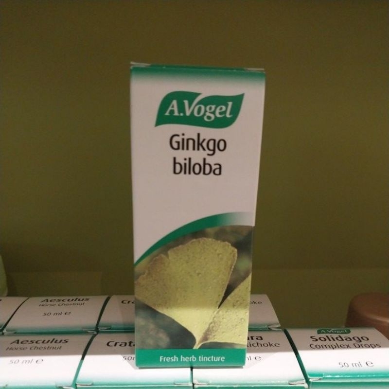A,vogel gingko biloba