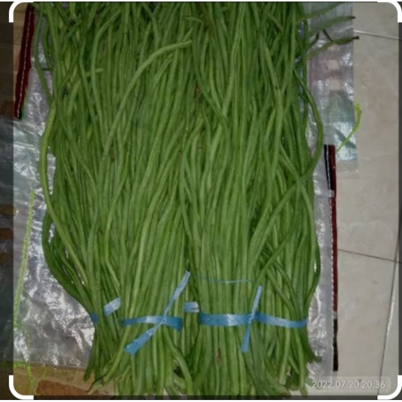 

Kacang Panjang per ikat 250 gr
