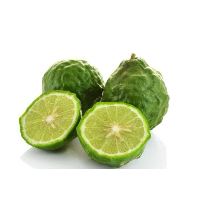 

Jeruk Purut (Jeruk Harum)