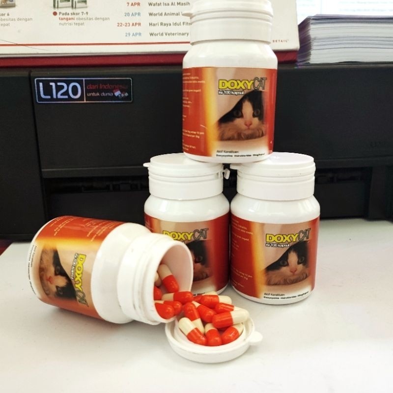 IM doxy ecer 1 tablet obat flu kucing anti biotic doxy cat