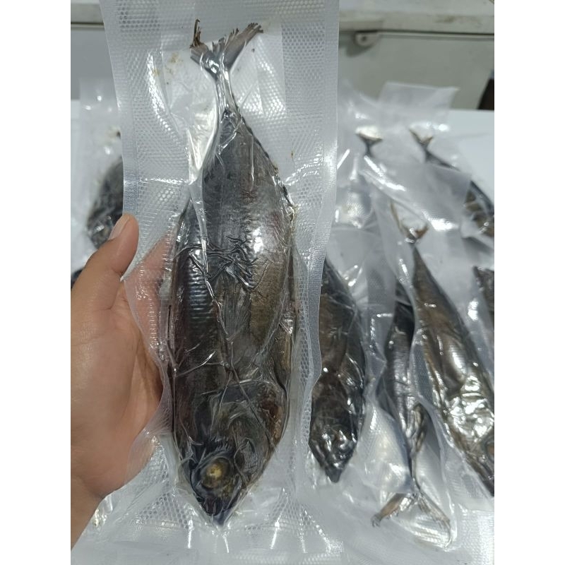 

Tuna Baby Asap Musashi Smoke