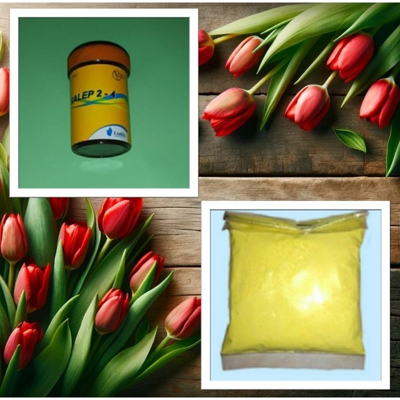 exeltis salep 2-4 + belerang sulfur bubuk obat infeksi jamur gatal selangkangan scabies panu kudis g