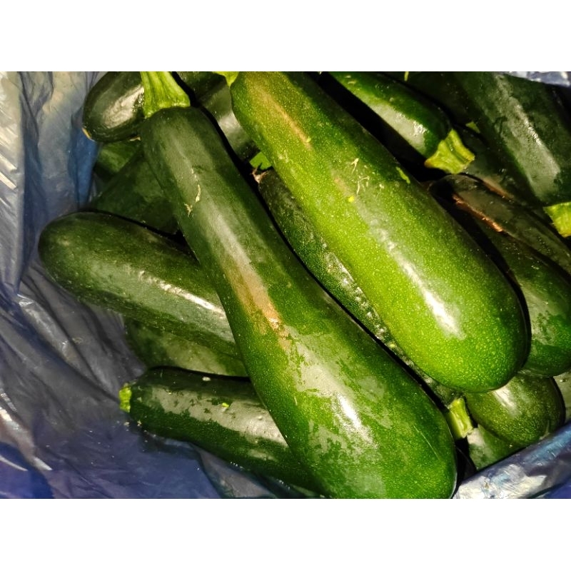 

Zucchini/tukini 500 gram, zucchini kaya manfaat, zucchini enak, zucchini segar, zucchini obat, zucchini murah meriah.