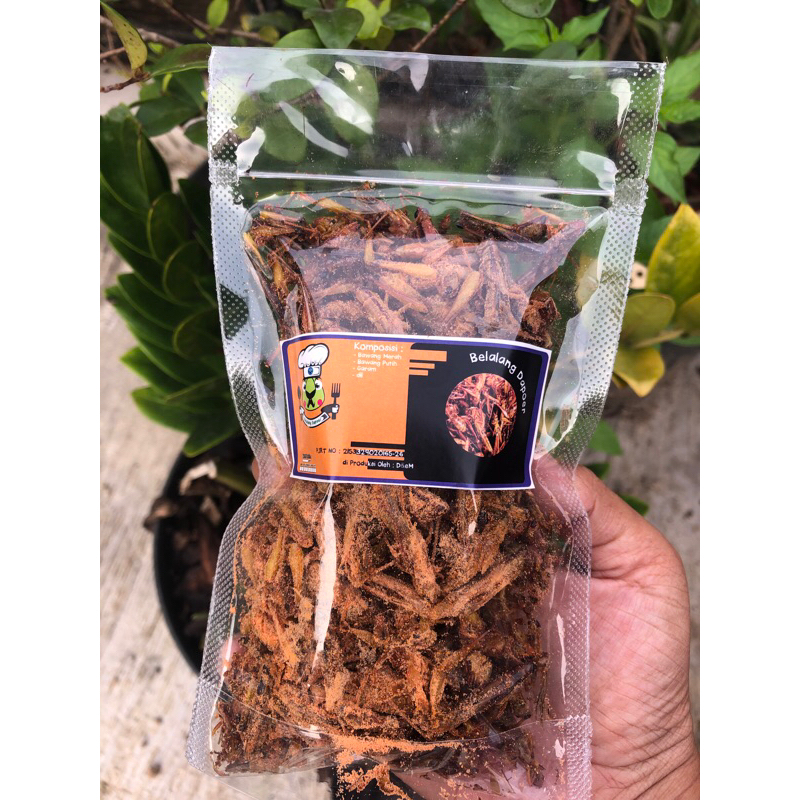 

BELALANG GORENG KRIUK VARIAN RASA