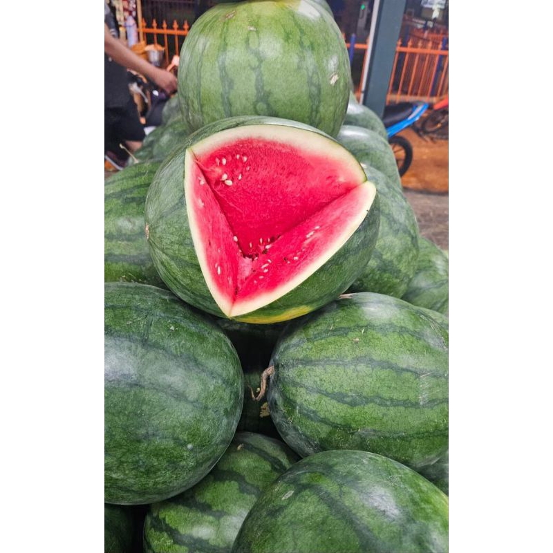 

SEMANGKA MERAH NON BIJI SATU BUAH UTUH 2,5-3,5 KG