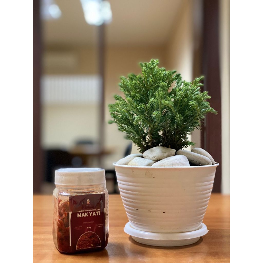 

Paket Sambal Goreng Jamblang & Bawang Goreng Terasi lebih ekonomis