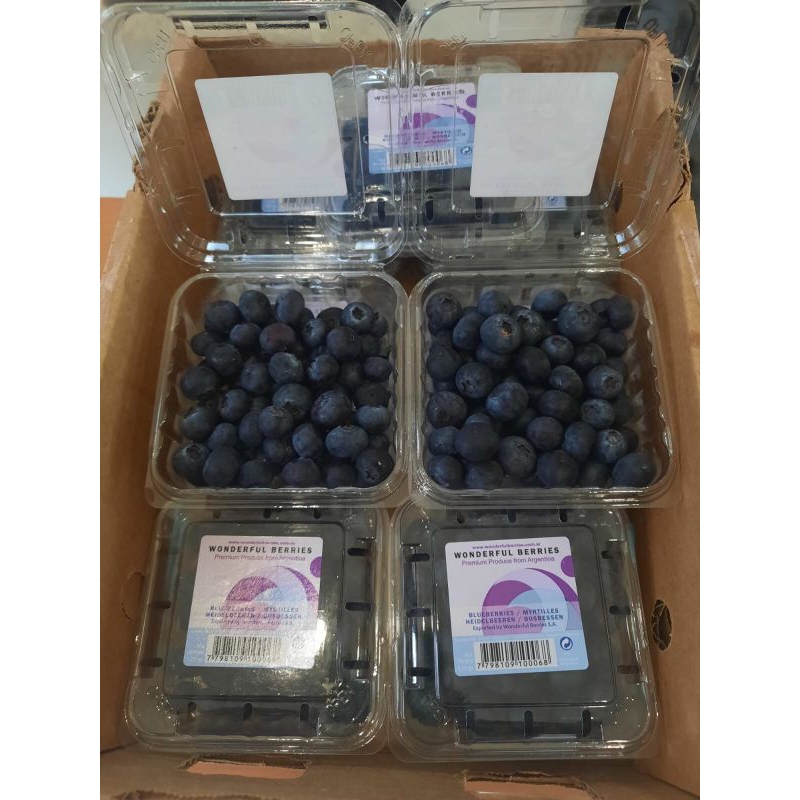 

Blueberry Argentina