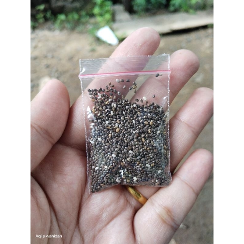 

Biji Chia Seed Kemasan Mini Pack