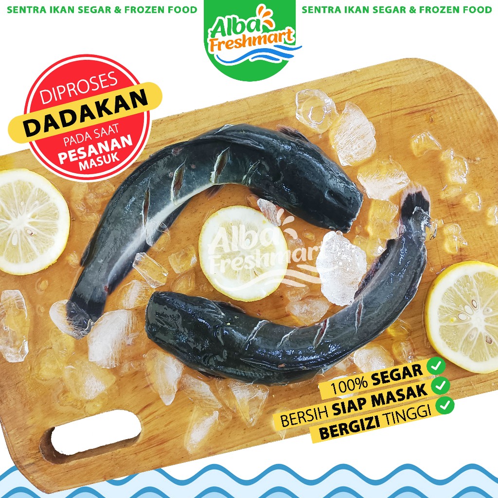 

Ikan LELE Segar Dadakan 1Kg (GRATIS POTONG) Utuh/Tanpa Kepala/Fillet/Marinasi