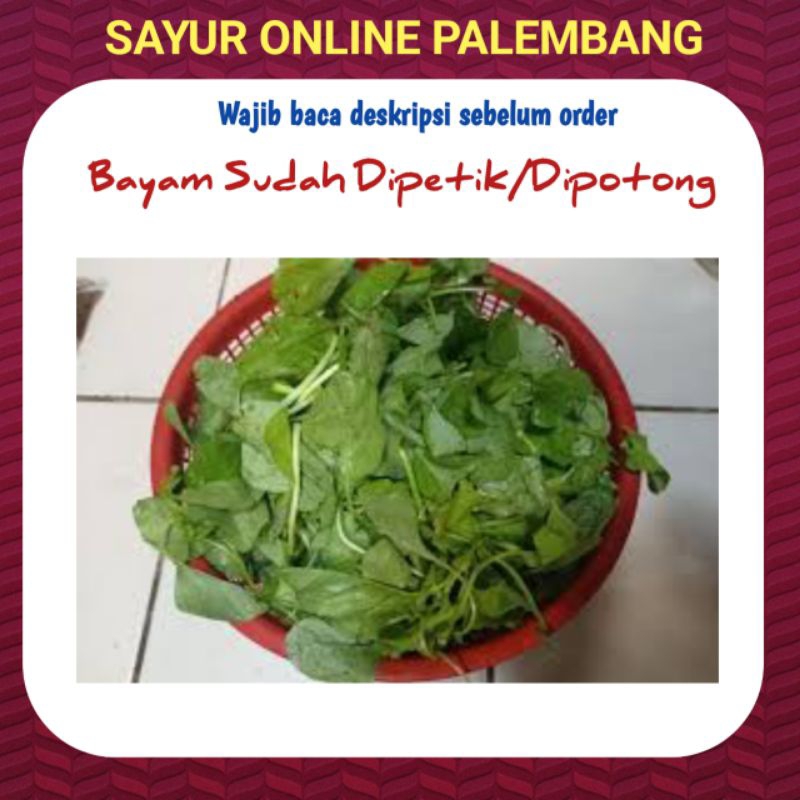 

Bayam Petik/ Sudah Dipetik Segar Per Bungkus - Sayur Sayuran Online Segar Palembang