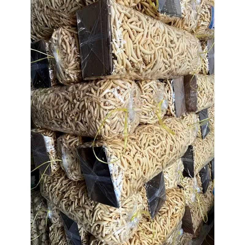 

TELOR GABUS / LADU KEJU ISI 1KG TERMURAH BERKWALITAS