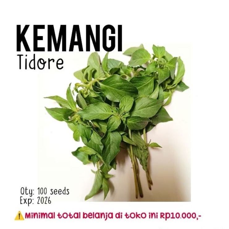 100 biji - Benih kemangi Tidore